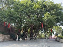 -船政文化景区-罗星塔公园