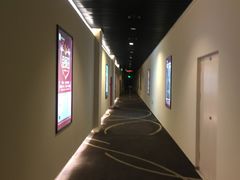 -嘉华国际影城(学清路店)