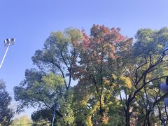 -岳麓山风景名胜区