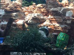 -石家庄市动物园