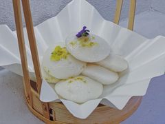 -青梅酒肆PLUS(长白仙岛北路店)