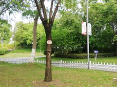 -南山湖公园