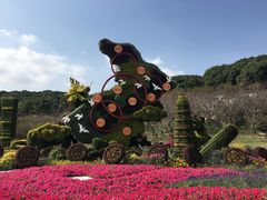 -苏州上方山国家森林公园