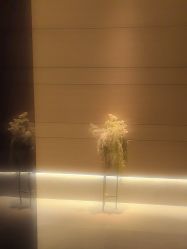 -恒美雅轩·品牌直营连锁