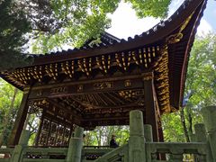 -汇龙潭