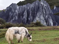 -墨石公园景区