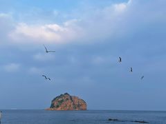 -棒棰岛宾馆景区