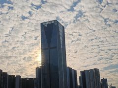 -光明刘冰乳鸽店(光明法政北路店)