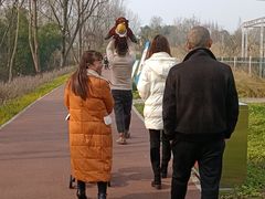 -桤木河湿地公园