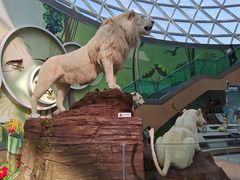 -陕西自然博物馆