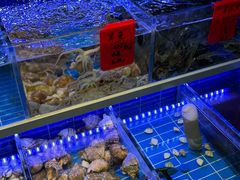 -金海湾海鲜排档(朱家尖店)