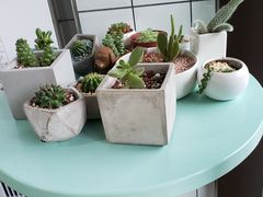 -蜜蜂小象·榴莲千层蛋糕(时代汇11栋店)