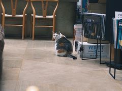 -黑胶星球(华发中城商都店)