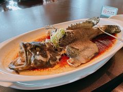 鲜露清蒸青斑鱼-山港凯悦酒店·东海88私房菜
