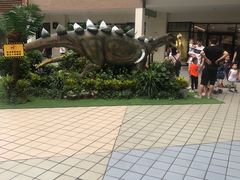 -MICHAEL KORS(杉井奥特莱斯广场店)