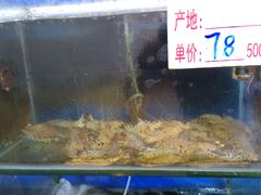 -真味馆(侨港碧海银滩店)