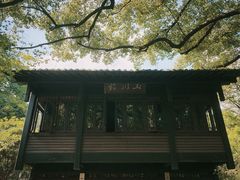 -中国茶叶博物馆(双峰馆区)