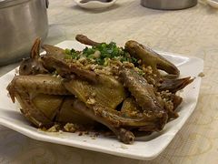 -百利鸽王(紫薇路店)