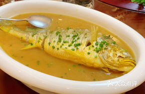 Yellow croaker