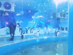 -徐州乐园加勒比水世界