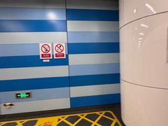 -大望路(地铁站)