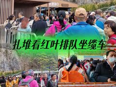 -秦岭天竺山生态文化旅游景区