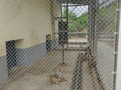 -森林公园(尖草坪区)