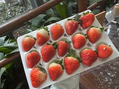 -金稼园·金平湖农家菜