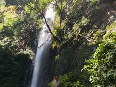 -莫里热带雨林景区