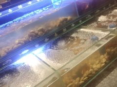-星伦多自助料理·涮烤一体(奉贤龙湖天街店)