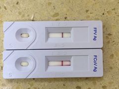 -艾贝尔宠物诊疗