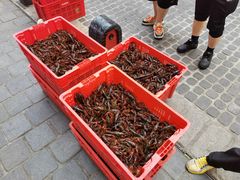 -虾小龙老长沙龙虾馆(坡子街店)