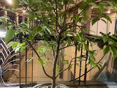 -冰冰龙虾·江湖菜·花园江景餐厅