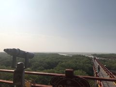 -北海金海湾红树林生态旅游区