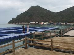 -东山码头
