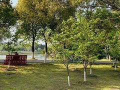 -艾溪湖湿地公园