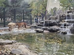 -北京野生动物园