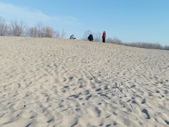 -东郊湿地公园