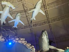 -烟台海昌鲸鲨海洋公园