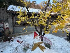 -潭柘寺景区