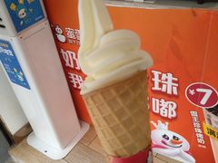 -蜜雪冰城(新华路店)