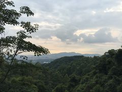 -火炉山森林公园