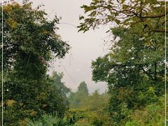 -窦圌山风景区
