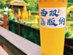 -西双版纳原始森林公园