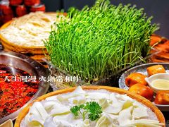 -渝味晓宇火锅(合川路店)