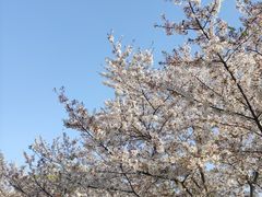 -玉山公园