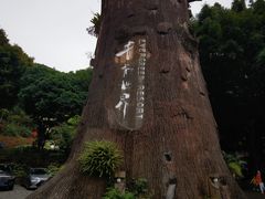 -青青世界