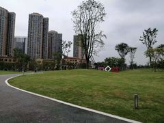 -府河摄影公园