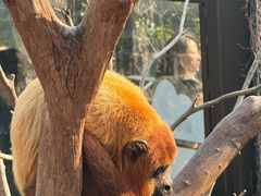 -Manner Coffee(D9街区店)