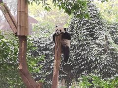 -成都杜甫草堂博物馆